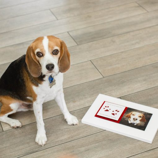 Pet paw prints enamel keepsake frame