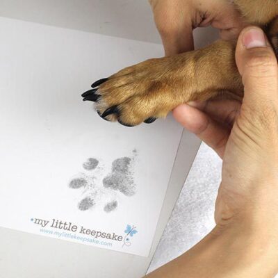 how to do a dog paw print pet inkless print kit